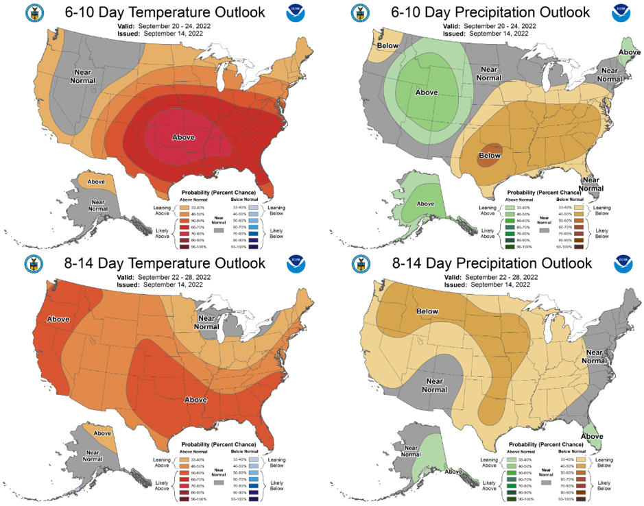 The 6-10 and 8-14 day outlook.